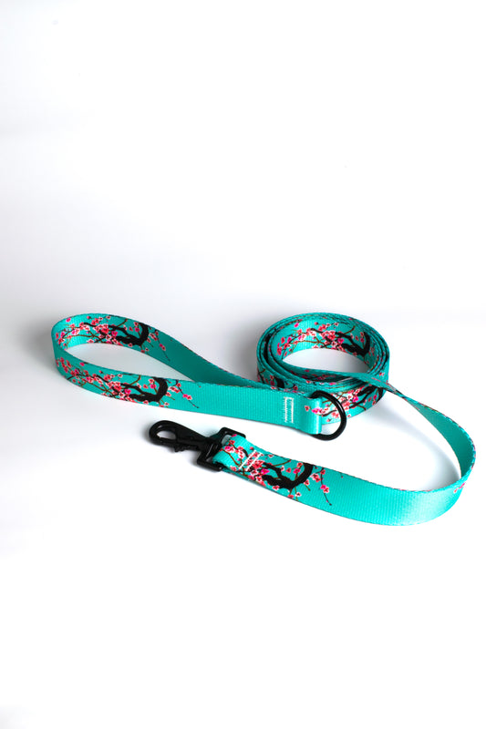 Sakura Leash