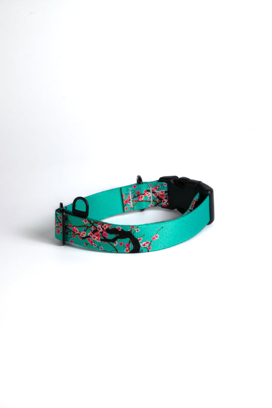 Sakura Dog Collar